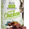 Brit Care Snack superfruits pour chat au poulet 100 g