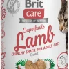 Brit Care Snack superfruits pour chat à l'agneau 100 g
