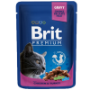 Brit Premium Pochons au Poulet et Dinde 100g