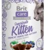 BRIT Care Cat Snack Superfruits Kitten - cat treat - 100 g Brit