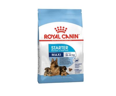 Royal Canin Maxi Starter M&B Adult Dog - 4 Kg | ANIMALMARKET.MA