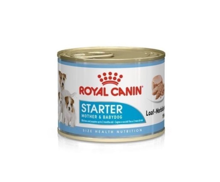 ROYAL CANIN - STARTER MOUSSE 195G | animalmarket.ma