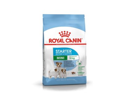 Royal Canin Mini Starter Mother & Baby - 1 Kg | animalmarket.ma