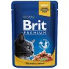Brit Premium Chats Saumon & Truite 100g