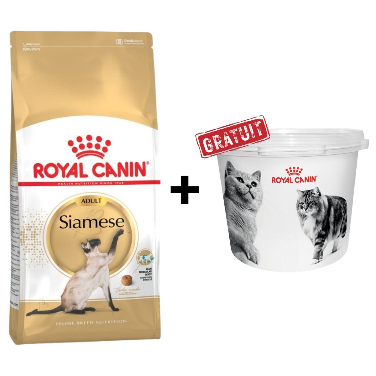 Royal Canin Siamois Adult 2 Kg + Conteneur à croquettes 2kg