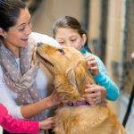 Les questions à se poser avant d'adopter un chien au Maroc | animalmarket.ma