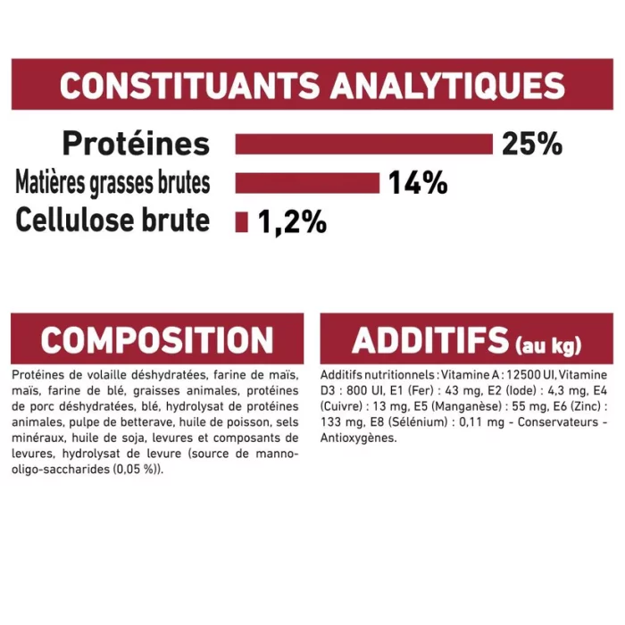 Royal Canin Medium Adult 15 Kg | animalmarket.ma