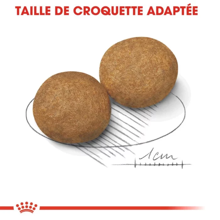 Royal Canin Medium Adult 15 Kg | animalmarket.ma