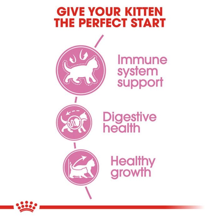 Royal Canin Kitten Chatons 10kg