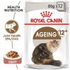 Royal Canin Paté Ageing +12 85G