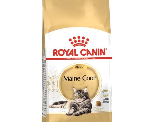 Royal Canin Maine Coon croquettes chat adulte 2 kg