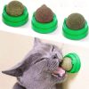 Boule herbe à chats sur support adhésif