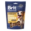 Brit Premium Semi-humide Snacks Poulet & framboise 180g