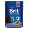 Brit Premium Cat Pouches with Cod Fish 100 g