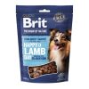 Brit Premium by Nature Dog Semi-humide Snacks Agneau à l’argousier 180g