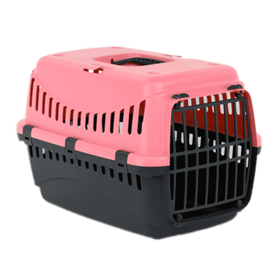Cage de Transport Gipsy Large (L: 58cm, L: 38cm, H: 38cm)