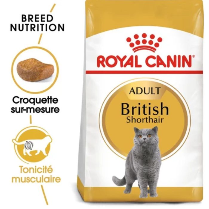 Royal Canin Croquette pour Chat British Shorthair Adulte 2 Kg