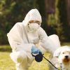 Antiparasitaires animaux efficaces