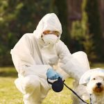 Antiparasitaires animaux efficaces