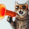 Les produits les plus vendus pour chats chez Animal Market