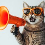 Les produits les plus vendus pour chats chez Animal Market
