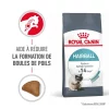 Royal Aliment Sec pour Chat Canin Hairball Care 2 Kg