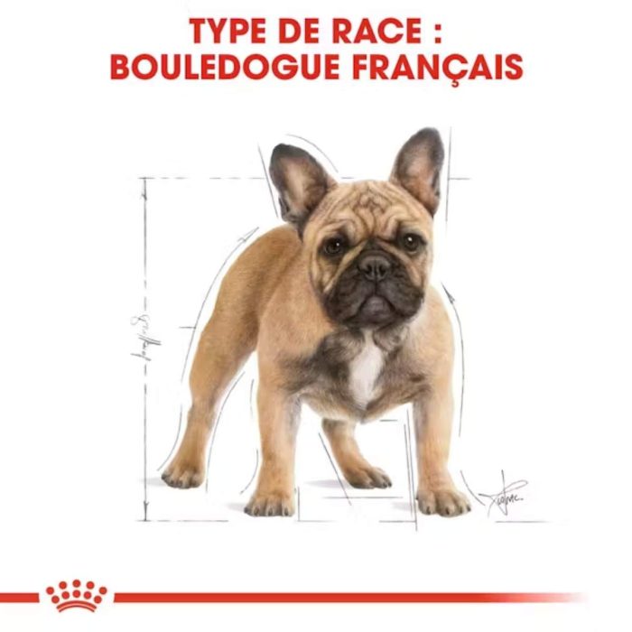 Royal Canin Bouledogue Français Adulte