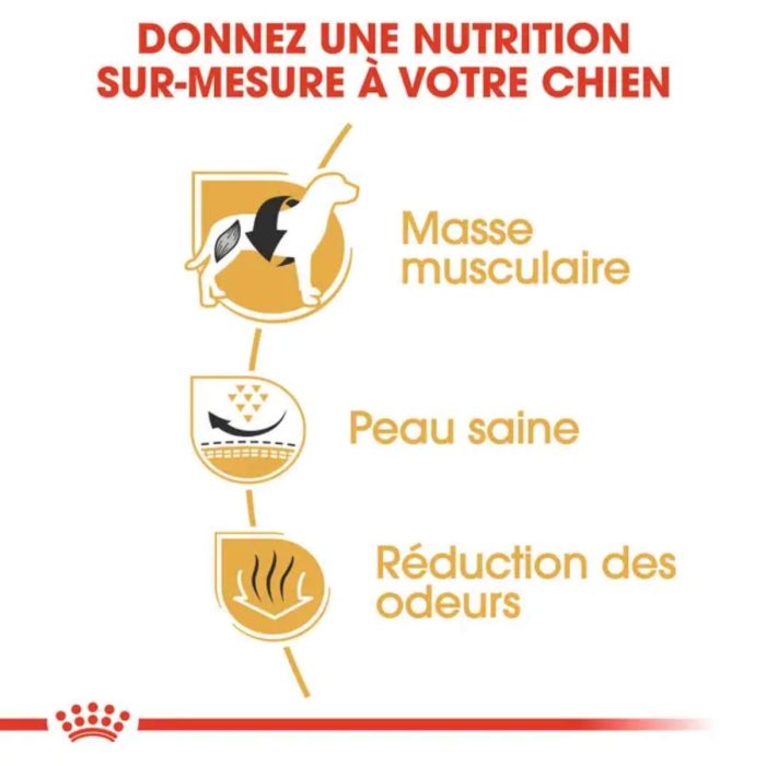 Royal Canin Bouledogue Français Adulte