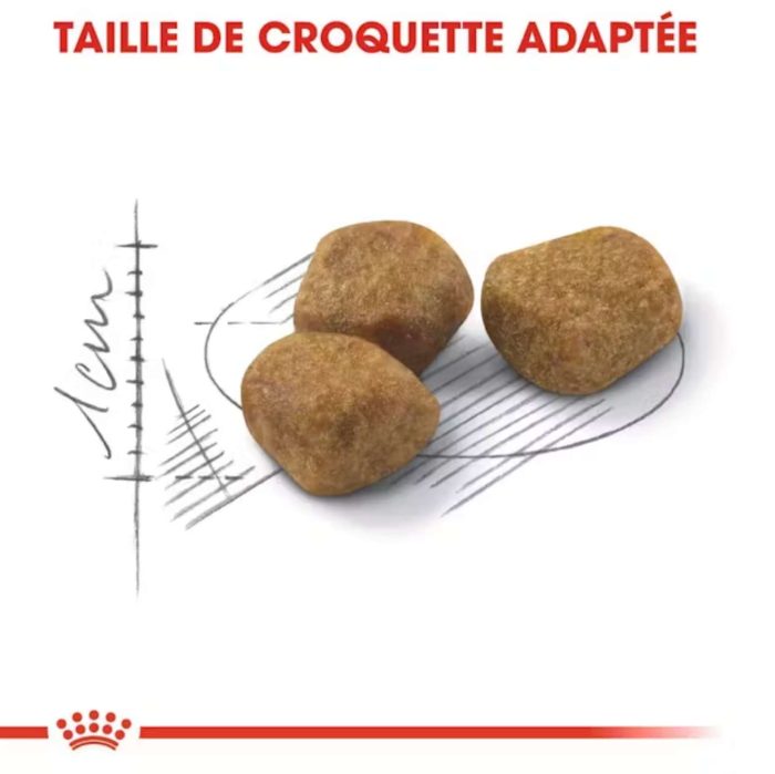 Royal Canin fit 32