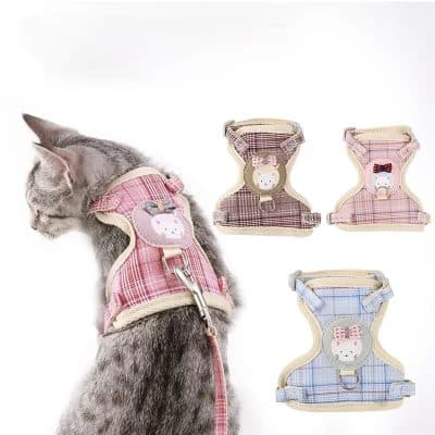 Harnais et Laisse  ( Ensemble ) pour Chat