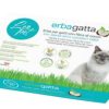 HERBE A CHAT LEOPET AVEC FIBRE DE COCO 100 G.