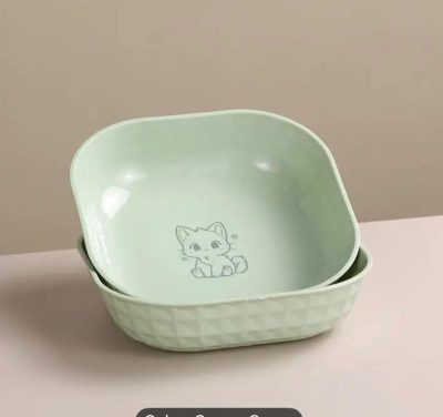 bol de nourriture stylée