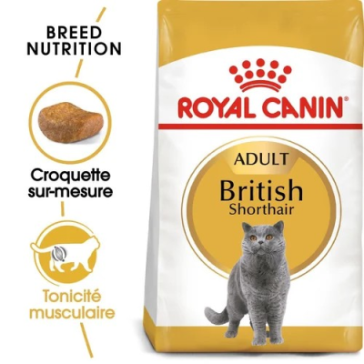 Royal Canin Croquette pour Chat British Shorthair Adulte 2 Kg