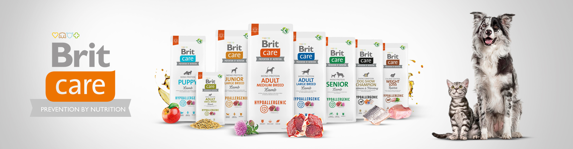 BRIT banner