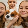 Best dog breeds for families with children