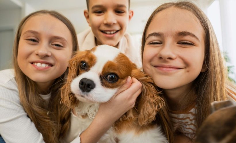 Best dog breeds for families with children