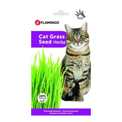 Flamingo Friandises-herbe a chat