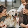 La Journée Mondiale des Chiens