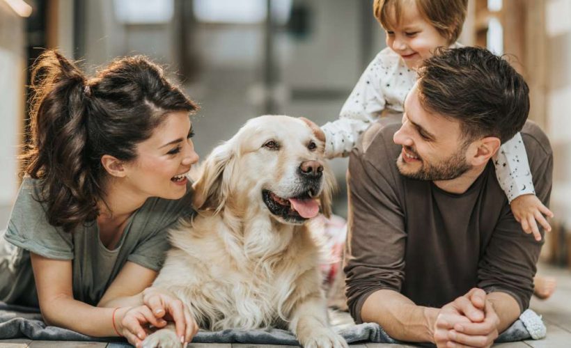 La Journée Mondiale des Chiens