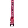 Collier pour chats et chiens