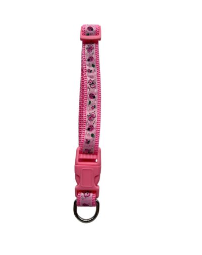 Collier pour chats et chiens