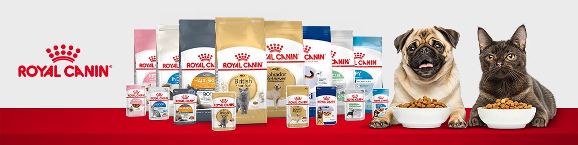Royal canin