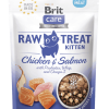 Brit RAW Gâterie Chat Chaton 40g