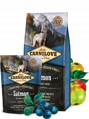 Carnilove Aliment Sec Chien Saumon Adult Dogs 12kg