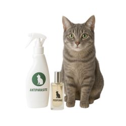 Produits antiparasitaires & Parfums Pour Chats