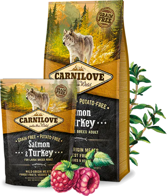 Carnilove Aliment Sec Chien Saumon & Dinde LARGE BREED ADULT 12kg