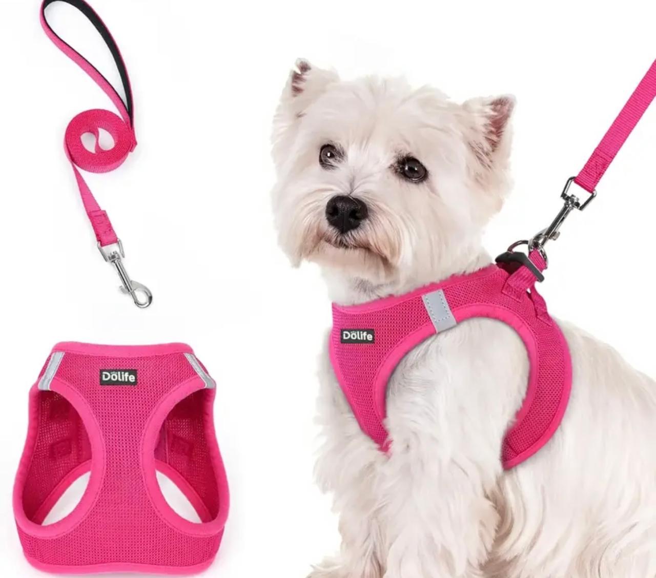 Harnais pour chiens de petite taille : harnais et laisse, Harnais pour chiens de petite taille : harnais et laisse,