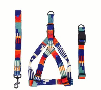 Ensemble harnais pour chien à motifs géométriques Pourpre XL/L