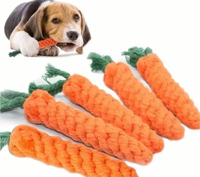 Jouets à mâcher pour petits chiens Nettoyage des dents