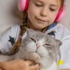 Adopter un chat : les 10 choses essentielles à savoir avant de vous lancer